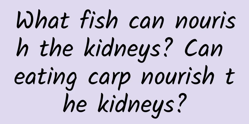What fish can nourish the kidneys? Can eating carp nourish the kidneys?