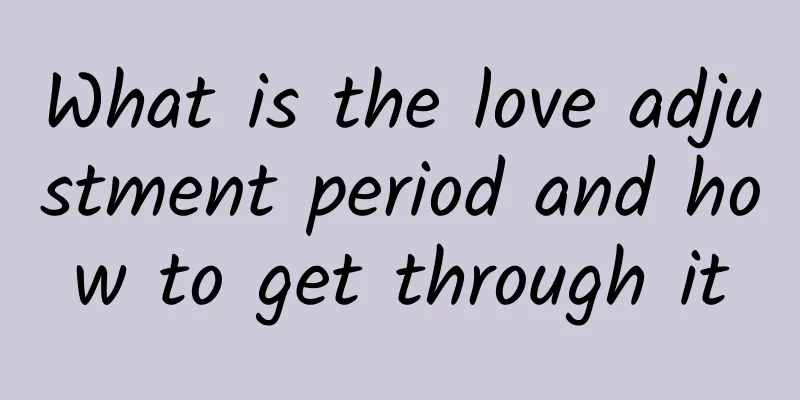 What is the love adjustment period and how to get through it