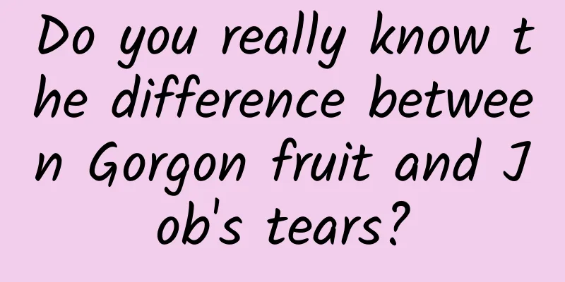 Do you really know the difference between Gorgon fruit and Job's tears?