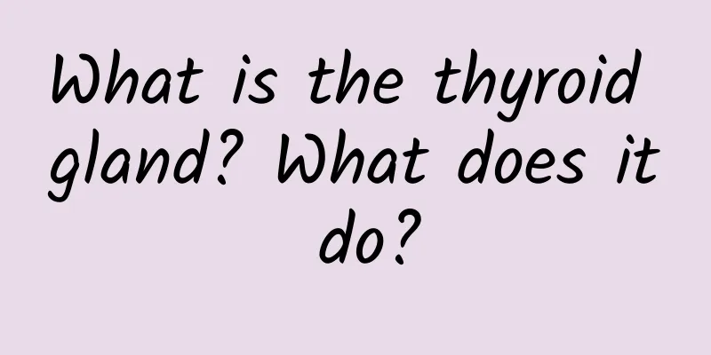 What is the thyroid gland? What does it do?