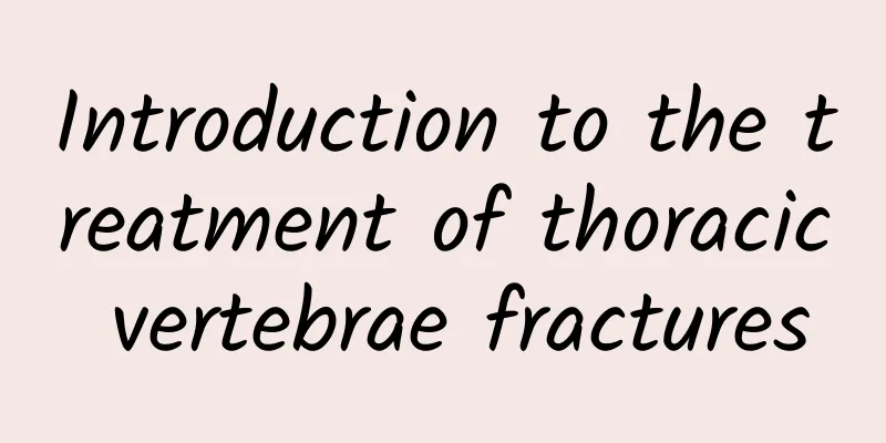 Introduction to the treatment of thoracic vertebrae fractures