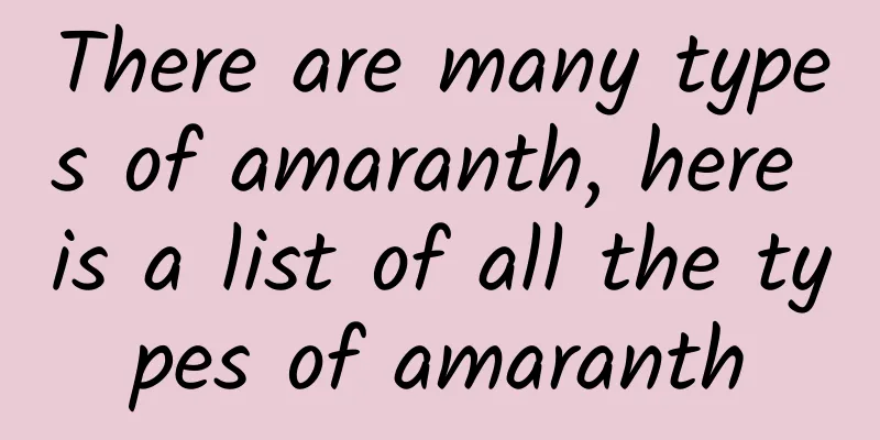There are many types of amaranth, here is a list of all the types of amaranth