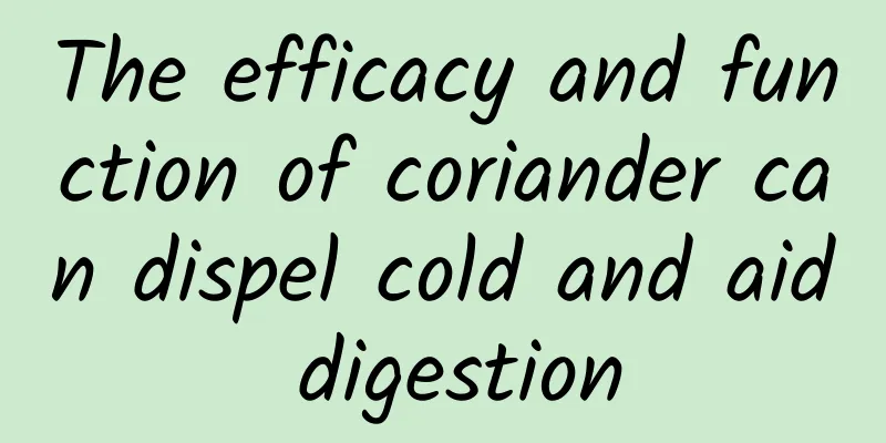 The efficacy and function of coriander can dispel cold and aid digestion