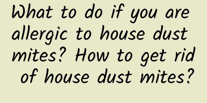 What to do if you are allergic to house dust mites? How to get rid of house dust mites?