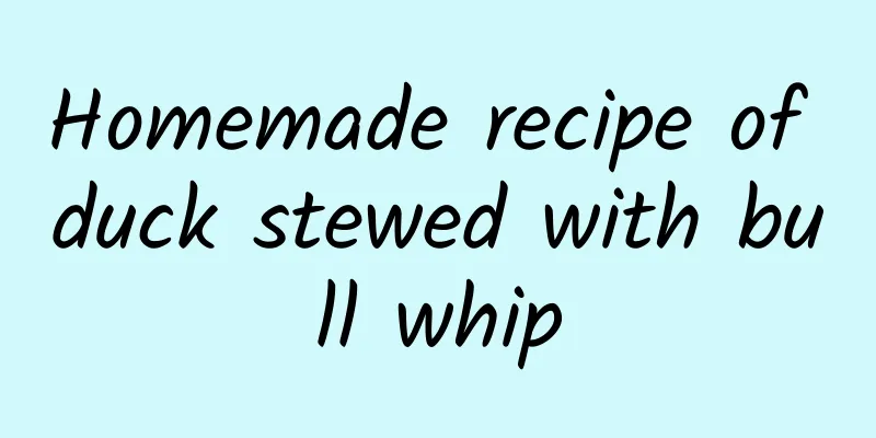Homemade recipe of duck stewed with bull whip