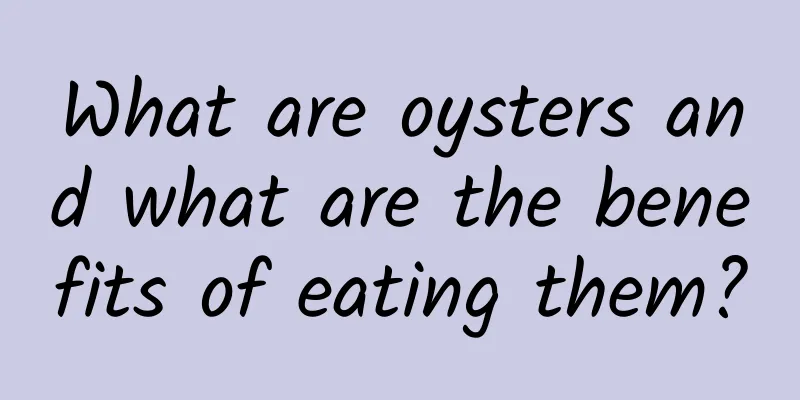 What are oysters and what are the benefits of eating them?