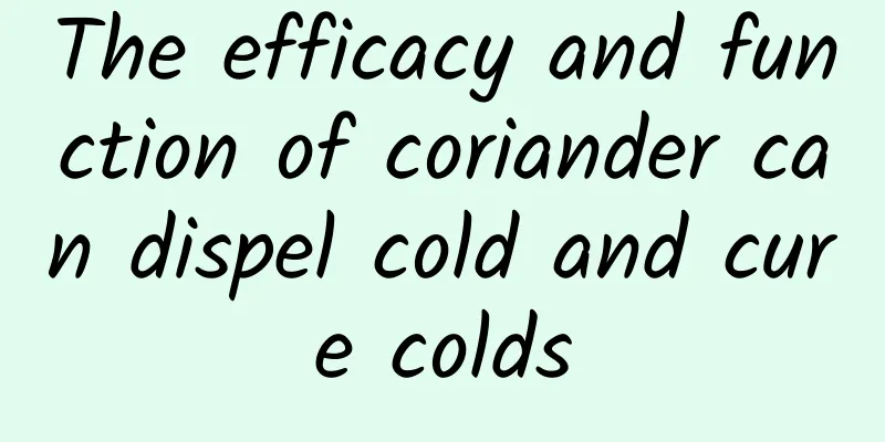 The efficacy and function of coriander can dispel cold and cure colds