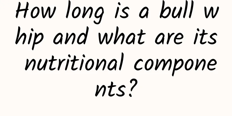 How long is a bull whip and what are its nutritional components?