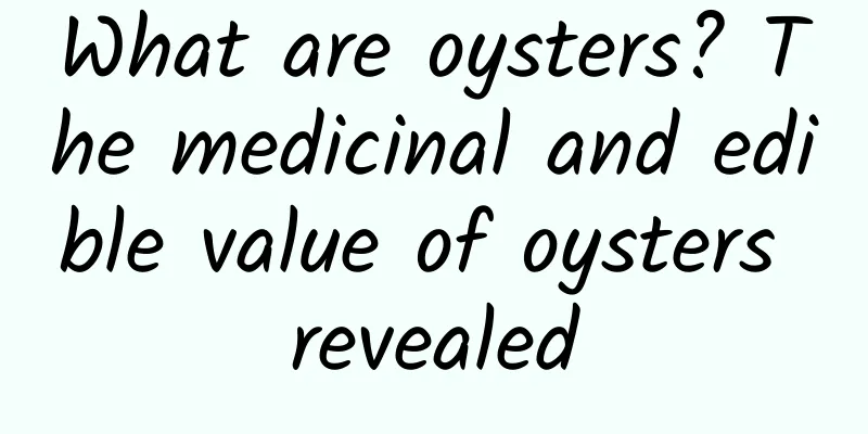 What are oysters? The medicinal and edible value of oysters revealed