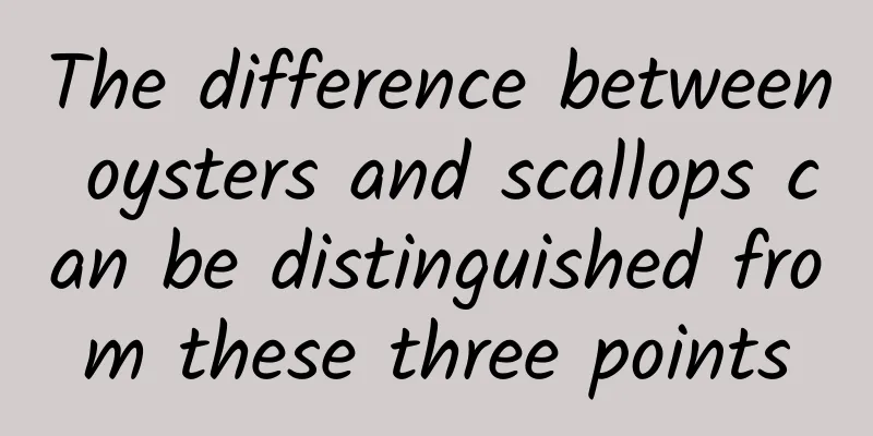 The difference between oysters and scallops can be distinguished from these three points