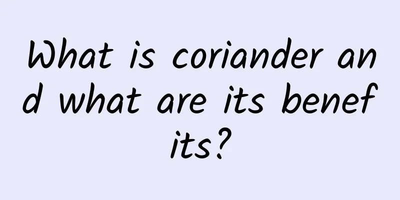 What is coriander and what are its benefits?