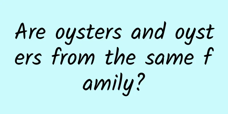 Are oysters and oysters from the same family?