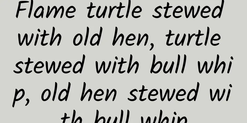 Flame turtle stewed with old hen, turtle stewed with bull whip, old hen stewed with bull whip