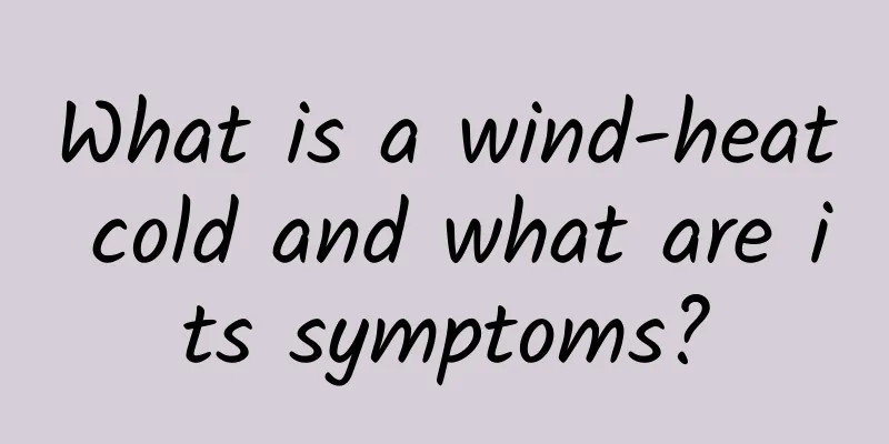 What is a wind-heat cold and what are its symptoms?
