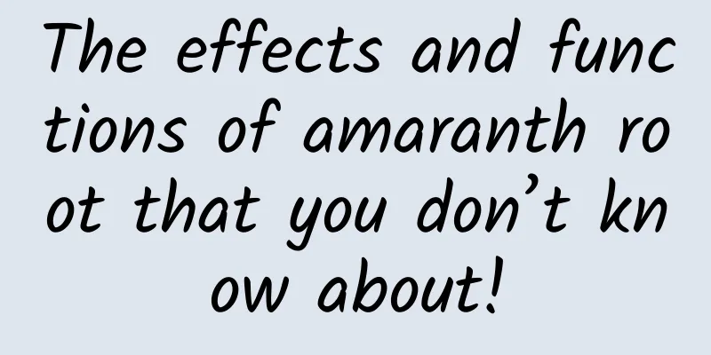 The effects and functions of amaranth root that you don’t know about!