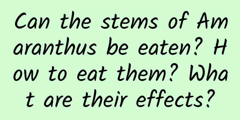 Can the stems of Amaranthus be eaten? How to eat them? What are their effects?