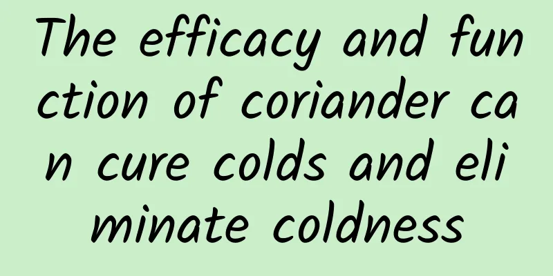 The efficacy and function of coriander can cure colds and eliminate coldness