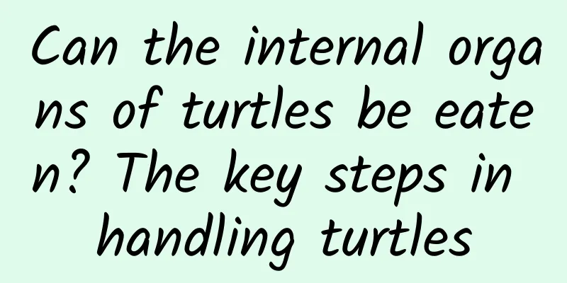 Can the internal organs of turtles be eaten? The key steps in handling turtles