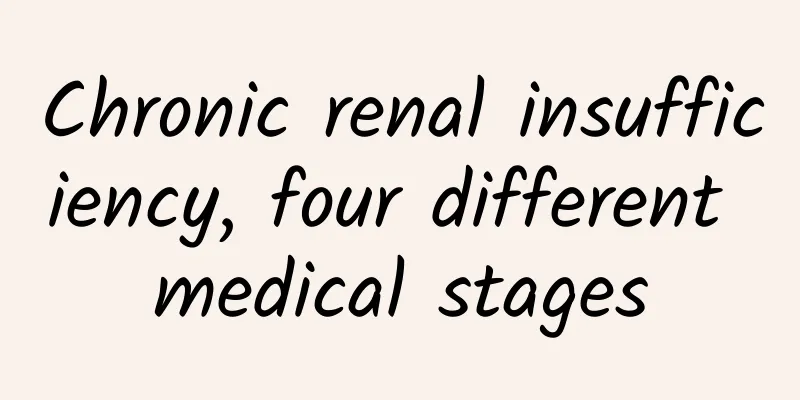 Chronic renal insufficiency, four different medical stages