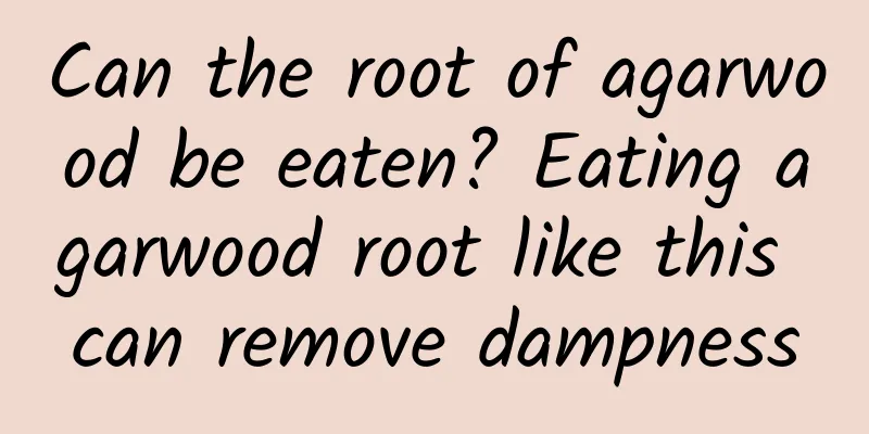 Can the root of agarwood be eaten? Eating agarwood root like this can remove dampness