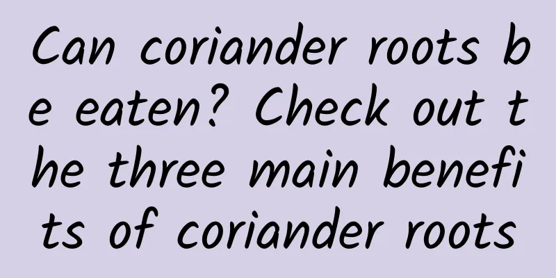 Can coriander roots be eaten? Check out the three main benefits of coriander roots