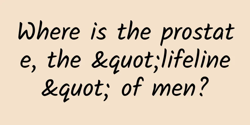 Where is the prostate, the "lifeline" of men?