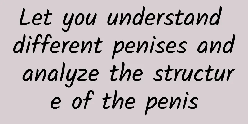 Let you understand different penises and analyze the structure of the penis