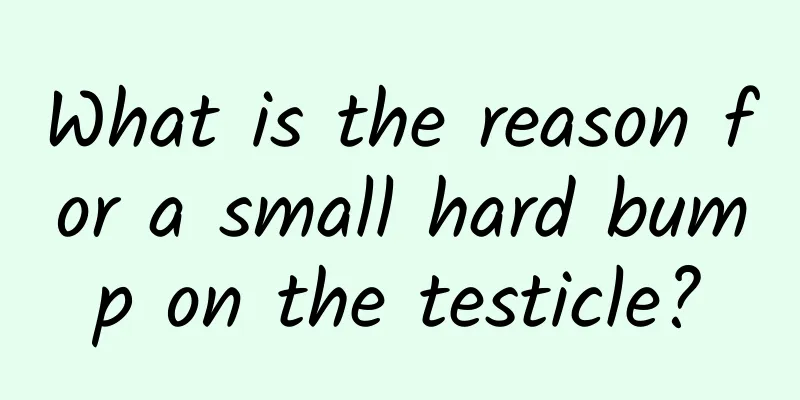 What is the reason for a small hard bump on the testicle?