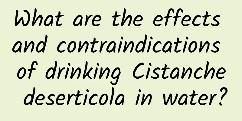 What are the effects and contraindications of drinking Cistanche deserticola in water?