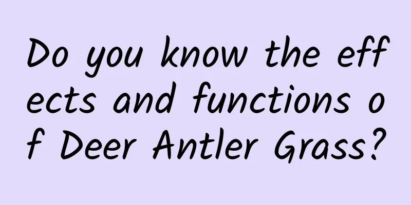 Do you know the effects and functions of Deer Antler Grass?