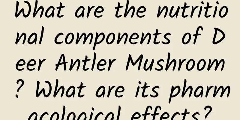 What are the nutritional components of Deer Antler Mushroom? What are its pharmacological effects?