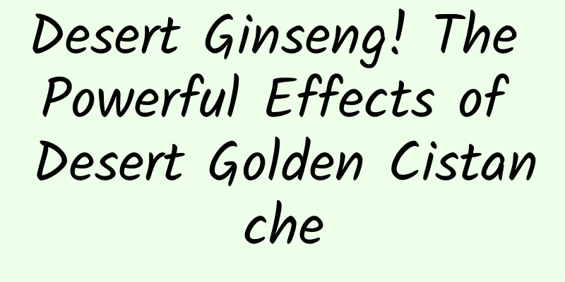 Desert Ginseng! The Powerful Effects of Desert Golden Cistanche