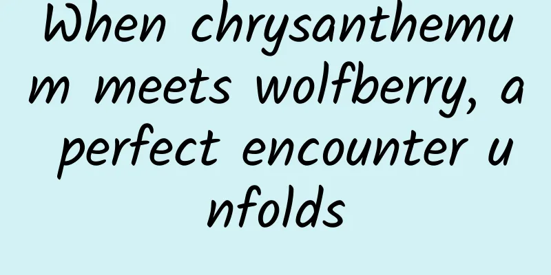 When chrysanthemum meets wolfberry, a perfect encounter unfolds