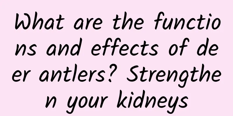 What are the functions and effects of deer antlers? Strengthen your kidneys