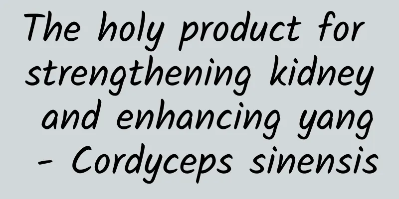 The holy product for strengthening kidney and enhancing yang - Cordyceps sinensis