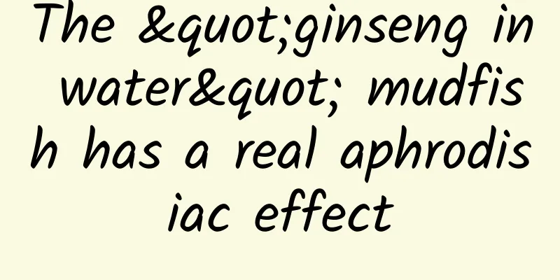 The "ginseng in water" mudfish has a real aphrodisiac effect