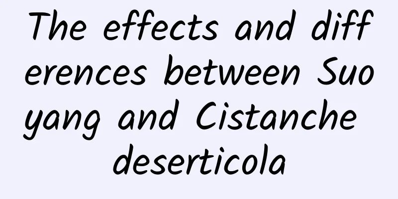 The effects and differences between Suoyang and Cistanche deserticola