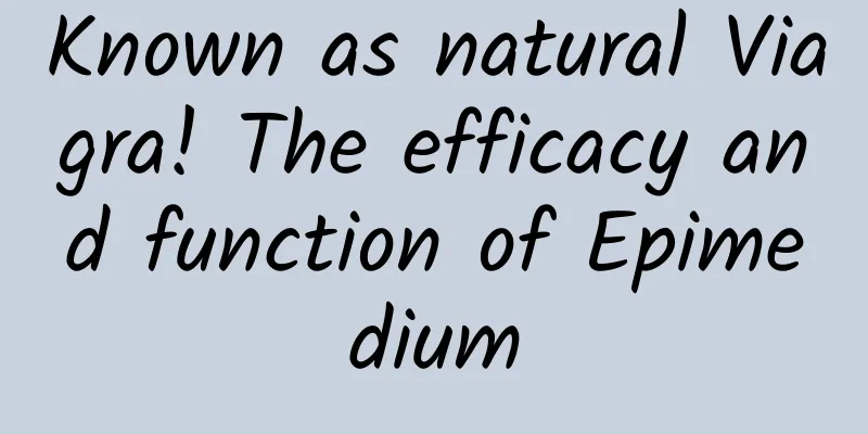 Known as natural Viagra! The efficacy and function of Epimedium