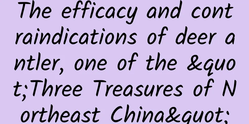 The efficacy and contraindications of deer antler, one of the "Three Treasures of Northeast China"