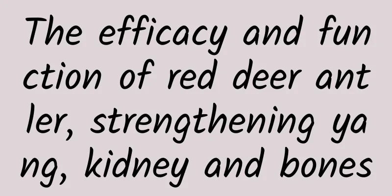 The efficacy and function of red deer antler, strengthening yang, kidney and bones