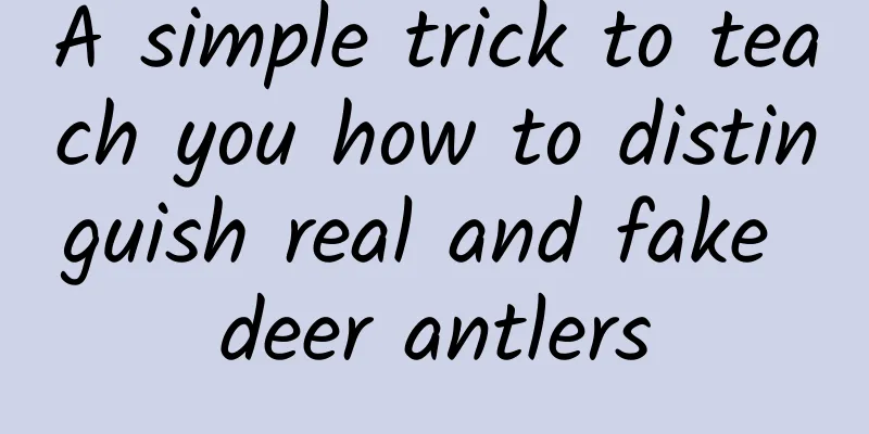 A simple trick to teach you how to distinguish real and fake deer antlers