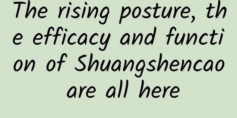 The rising posture, the efficacy and function of Shuangshencao are all here