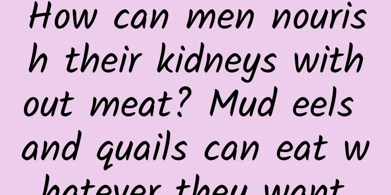 How can men nourish their kidneys without meat? Mud eels and quails can eat whatever they want.