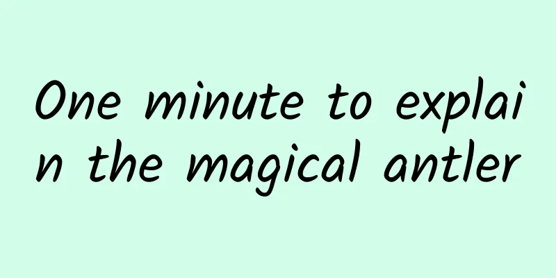 One minute to explain the magical antler