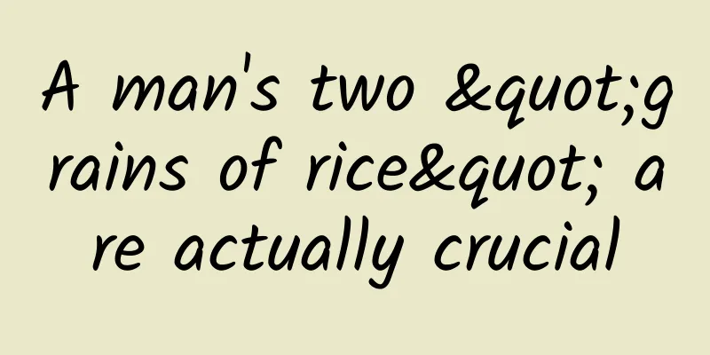 A man's two "grains of rice" are actually crucial
