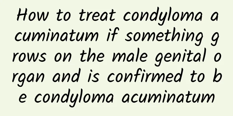 How to treat condyloma acuminatum if something grows on the male genital organ and is confirmed to be condyloma acuminatum