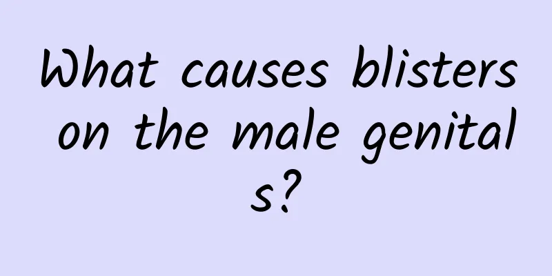 What causes blisters on the male genitals?
