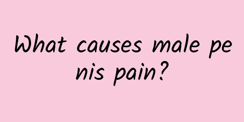 What causes male penis pain?