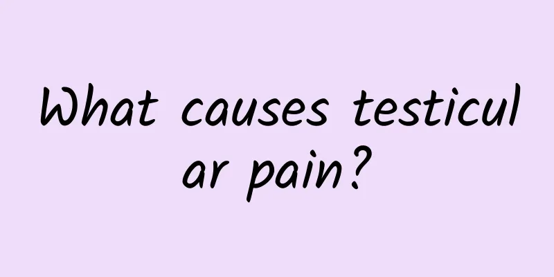 What causes testicular pain?