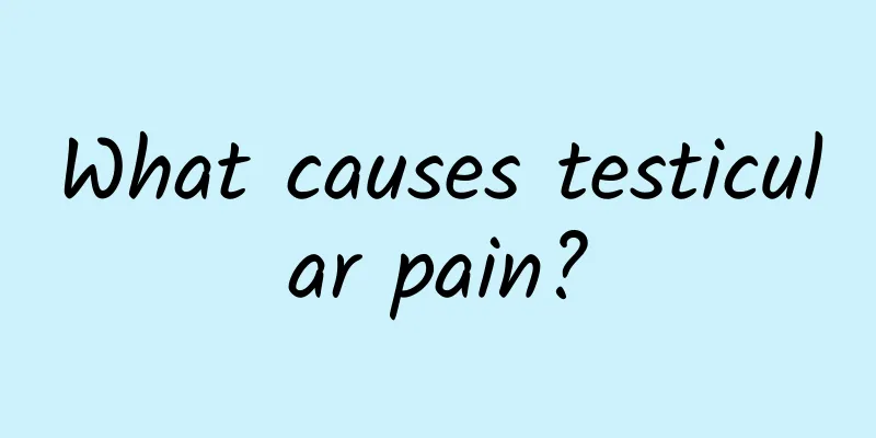 What causes testicular pain?